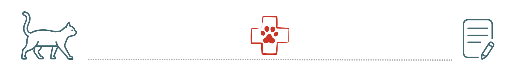 healthy dog after visit showing benefits of pet insurance at Shepherds Vineyard Animal Hospital Apex NC