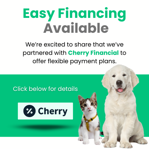 Cherry Financial Logo