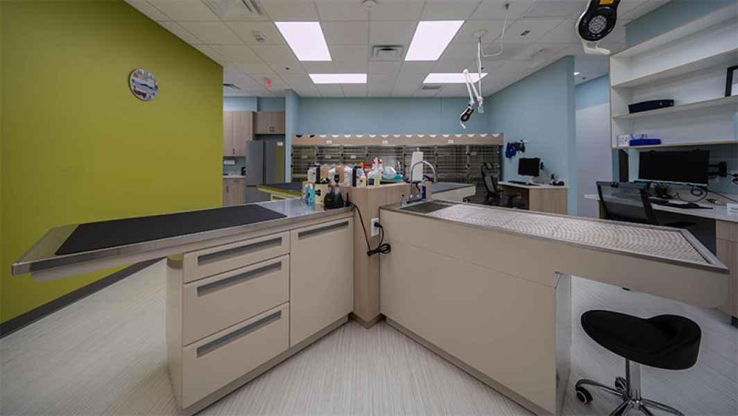 Animal Hospital in Apex, Cary, Holly Springs Shepherds Vineyard