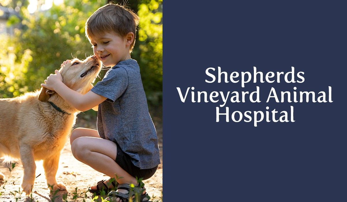 Welcome to Shepherds Vineyard Animal Hospital
