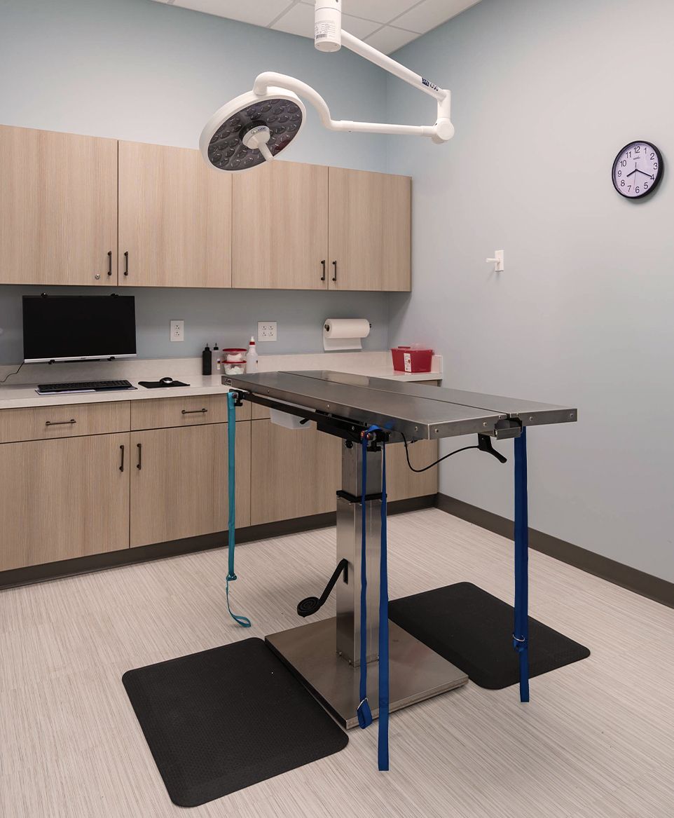 surgery room at Shepherds Vineyard Animal Hospital